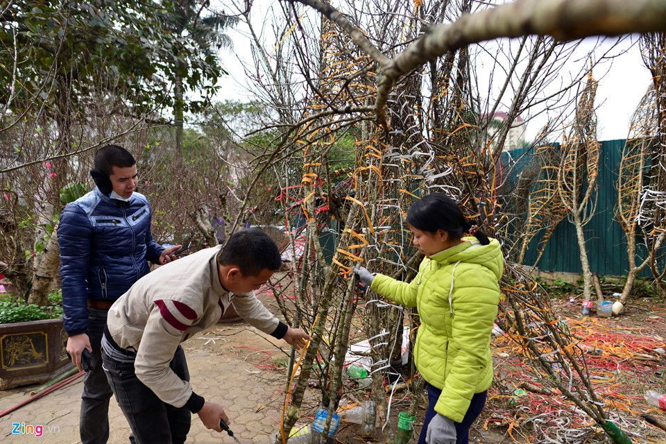 Người Hà Nội tấp nập đi sắm Tết sớm